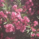 ���� ������, ������, 36 ��� - ��������� 1 �������� 2012 � ������ �� �� �����