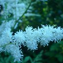  , -, 40  -  16  2011     