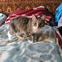 ���� �����, ������� - ��������� 27 ���� 2013 � ������ ���� ����������