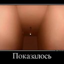 ���� �������, ����������, 38 ��� - ��������� 30 ��� 2012 � ������ ���� ����������