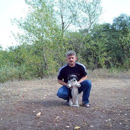 ������, �����������, 55 ���