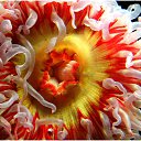 ���� Svetlana, ������, 59 ��� - ��������� 29 ����� 2011 � ������ ���������� ��� ���������� �����