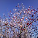 ���� Michael, ������, 57 ��� - ��������� 12 ���� 2010 � ������ ����� � �����������