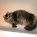 ���� Byaka, ���������, 41 ��� - ��������� 28 ������ 2010 � ������ ���� ������ ����� ������!!!�