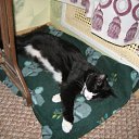 ���� ������, ������, 63 ���� - ��������� 15 ���� 2011 � ������ ���� ����-�����