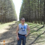   , 41 , -