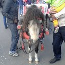 ���� ������, ������������, 56 ��� - ��������� 7 ������ 2013 � ������ ���� ����������