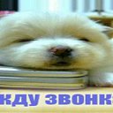  , -- -  23  2013      