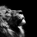 ���� ����, ��������� - ��������� 13 ������� 2012 � ������ ������ ��������