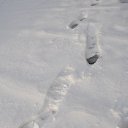 ������ ����� �� ������� ������� ����