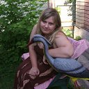 ���� �������, ��������� - ��������� 13 ������� 2011 � ������ ���� ����������