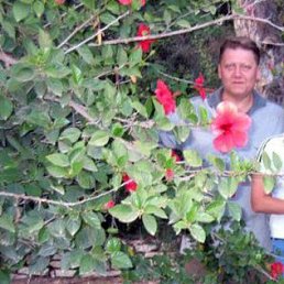 Alex, ����, 63 ����