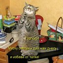 ���� �����, ��������, 39 ��� - ��������� 1 ���� 2010 � ������ �������