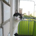 ���� << �����, ���������, 35 ��� - ��������� 13 ��� 2010 � ������ �������