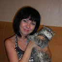 ���� �����, ������ - ��������� 22 ������ 2013 � ������ ���� ����������