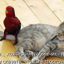 ���� ~Ann&ramosh~, ���������� - ��������� 2 ������� 2009 � ������ ���������