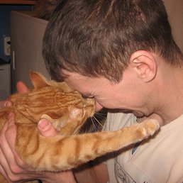 ���� ������, �����, 49 ��� - ��������� 15 ���� 2013