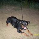 ���� ����������, �����������, 42 ���� - ��������� 27 ���� 2013