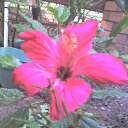 ���� �����, �������������, 65 ��� - ��������� 22 ������� 2012 � ������ ���� ������