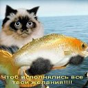 � ����� �������� ���� vk.com/fotiko �� ������� ���� ����������