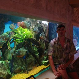 ���������, ���������, 39 ���