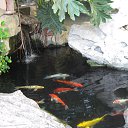 ���� �������, ������� - ��������� 30 ��� 2013 � ������ ��� ������� ���������� ����������...�