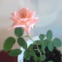 ���� �����, ������������, 56 ��� - ��������� 28 ������ 2013 � ������ ���� ����������