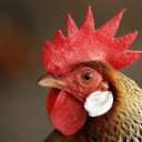���� Arif, ����, 44 ���� - ��������� 7 ������� 2012 � ������ ���� ����������