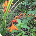 ���� �������, �������, 70 ��� - ��������� 25 �������� 2012 � ������ �������