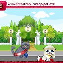 ���� ����, ������, 24 ���� - ��������� 20 �������� 2010