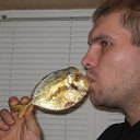 ���� �������, ���������, 48 ��� - ��������� 22 ���� 2010