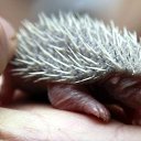 ���� ����� - ���������� ��������!!!, �����������, 56 ��� - ��������� 14 ���� 2010 � ������ �� ����� �������� � ... �� ������