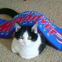 ���� �������), ������, 38 ��� - ��������� 7 ����� 2010 � ������ �������