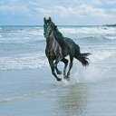  Oleg, , 46  -  11  2011   