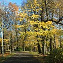 ���� ����, �����-���������, 56 ��� - ��������� 23 ������� 2012 � ������ ������ .������ ������