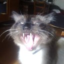  , , 63  -  20  2009     ߻