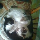  Dreamcatcher,  -  1  2013