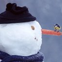  Niedara, , 51  -  15  2011   