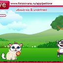  , , 31  -  12  2010   PetLove