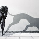 ���� Lana, �������-����������, 40 ��� - ��������� 13 ������ 2013 � ������ ���� ����������