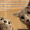 ���� ��������, ������ - ��������� 27 �������� 2010 � ������ ���������!!!�