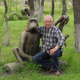 �������, �����������-��-�����, 85 ���