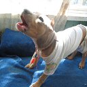 ���� �������, ��������, 43 ���� - ��������� 20 ������� 2011 � ������ ���� ����������