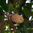  , , 56  -  15  2010     2010