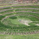 ���� ������, �����-���������, 39 ��� - ��������� 5 ������ 2010 � ������ �����