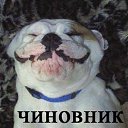���������� ��� ������ � ���������� ������� http://vk.com/app2257829#/profile/16935943/ �� ������� ���� ����������