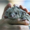 ���� ����. ��������� �� ��!, ������, 72 ���� - ��������� 30 ���� 2011 � ������ ������