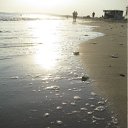 ���� ������, �����-���������, 38 ��� - ��������� 23 ������� 2011