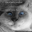 ���� ������ ����, �����������, 44 ���� - ��������� 3 ������� 2011 � ������ ���� ����������