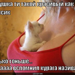 ���� ����, ����� - ��������� 24 ������� 2011